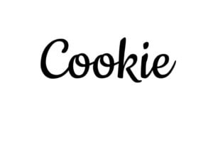 Cookie 2 1024x682